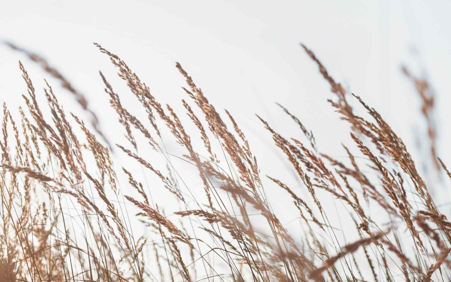 post_07 post_07