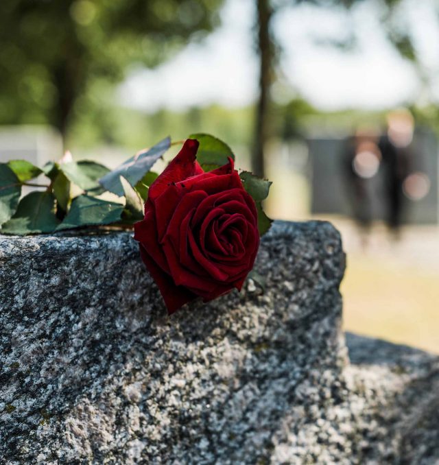 rose on headstone at graveyard representing loss